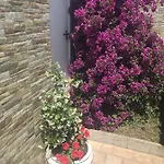 Sebrenu Hotel *